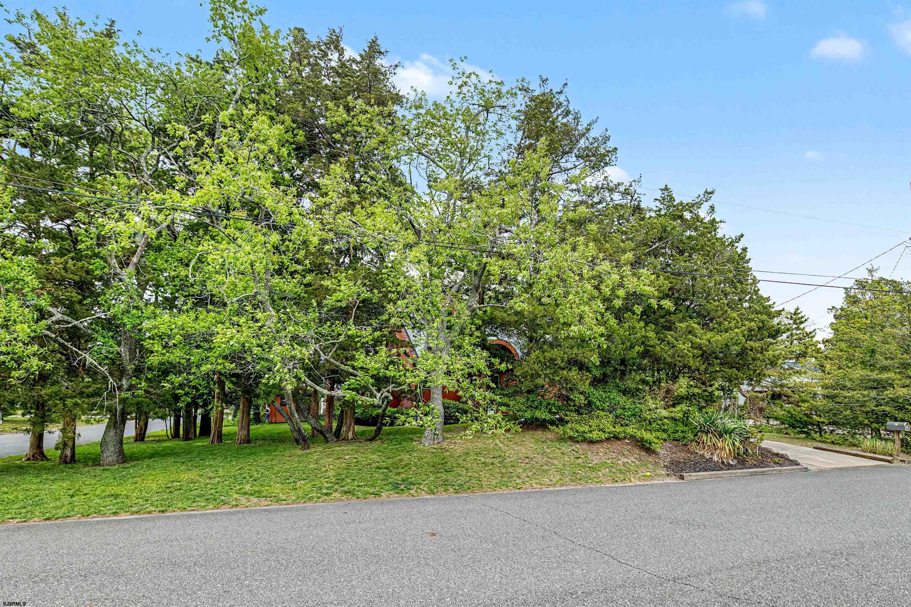 31 Ventnor Ave