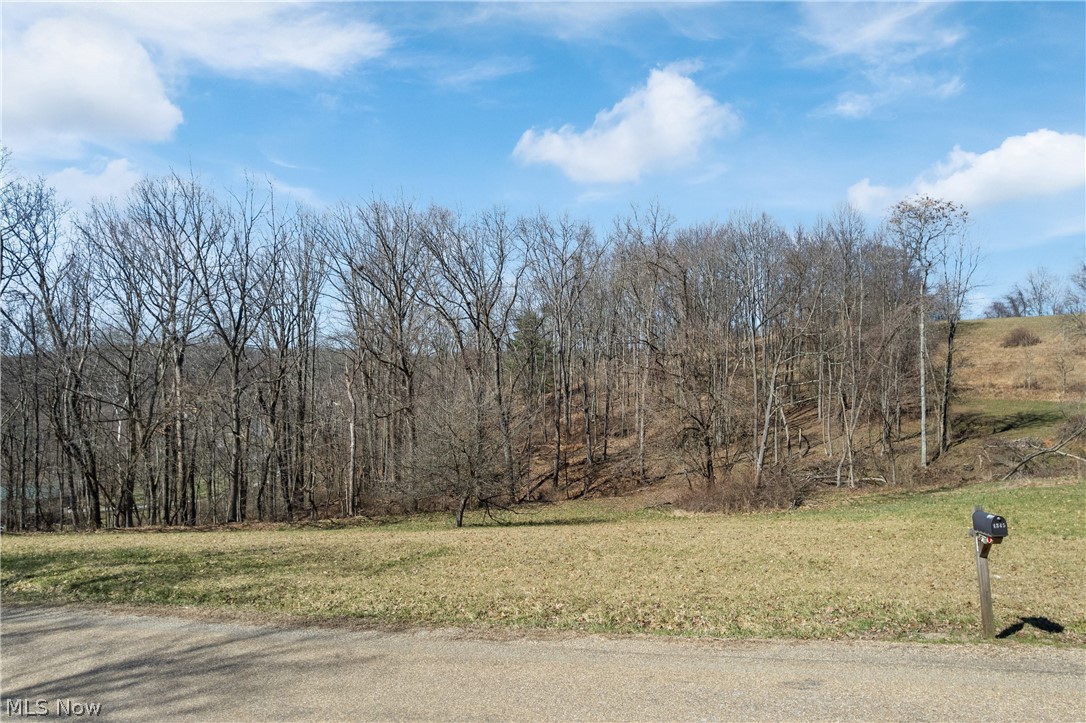 Boy Scout Road NE