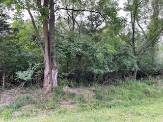 4405 Cordelang Court