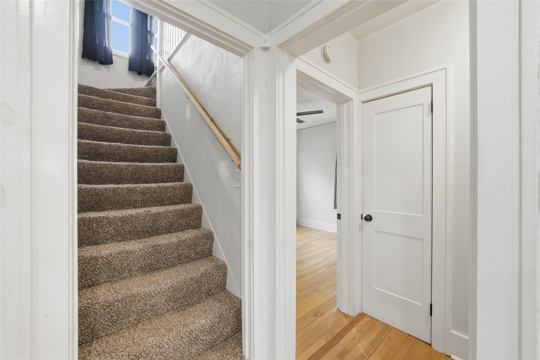 1716 E 14th Street