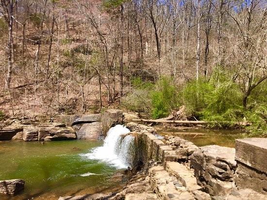 1407 Clear Pond Lane - Lot 21