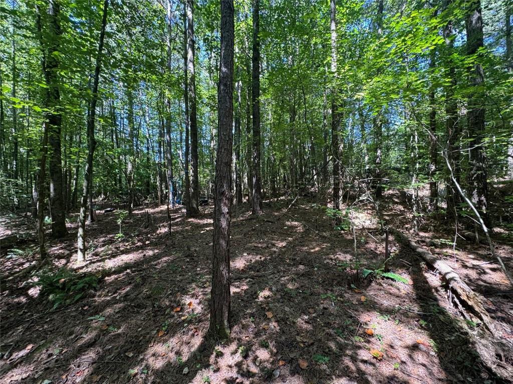 91 Hickory Creek Lane