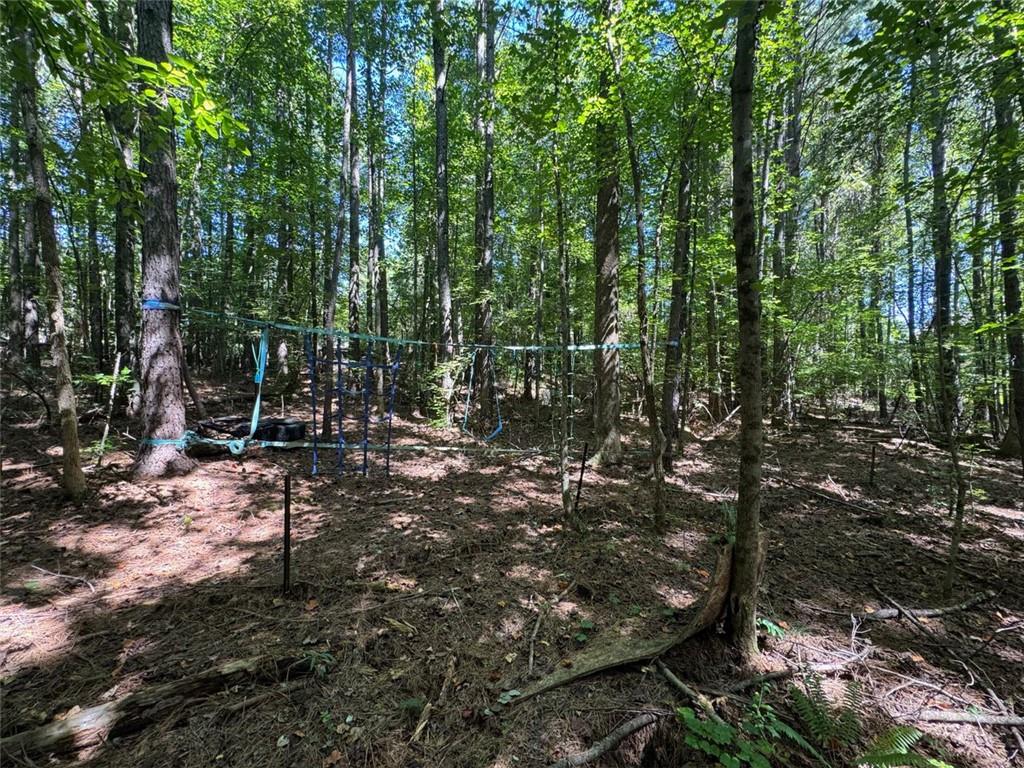 91 Hickory Creek Lane