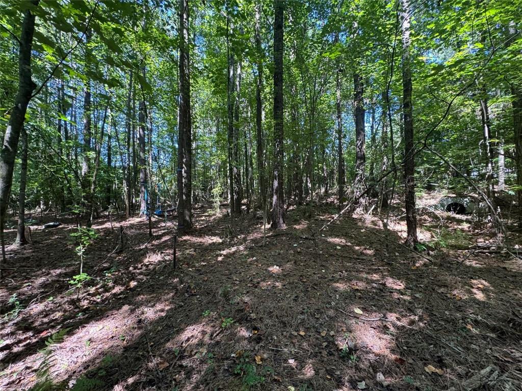 91 Hickory Creek Lane
