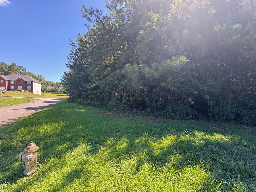 91 Hickory Creek Lane
