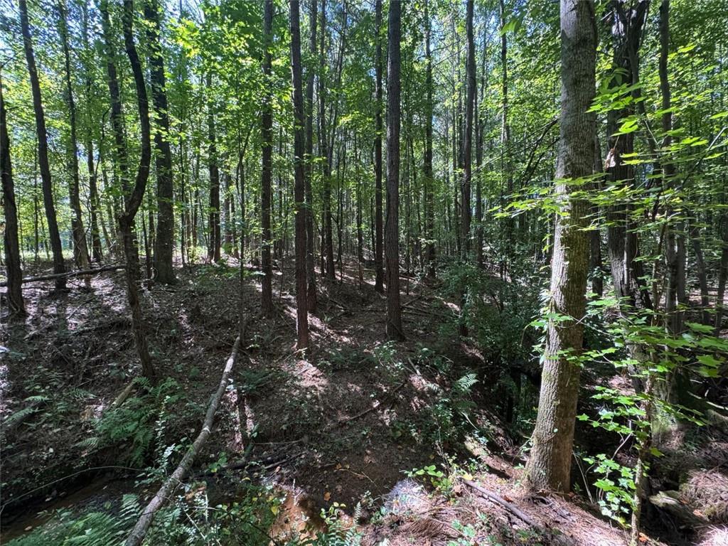 91 Hickory Creek Lane