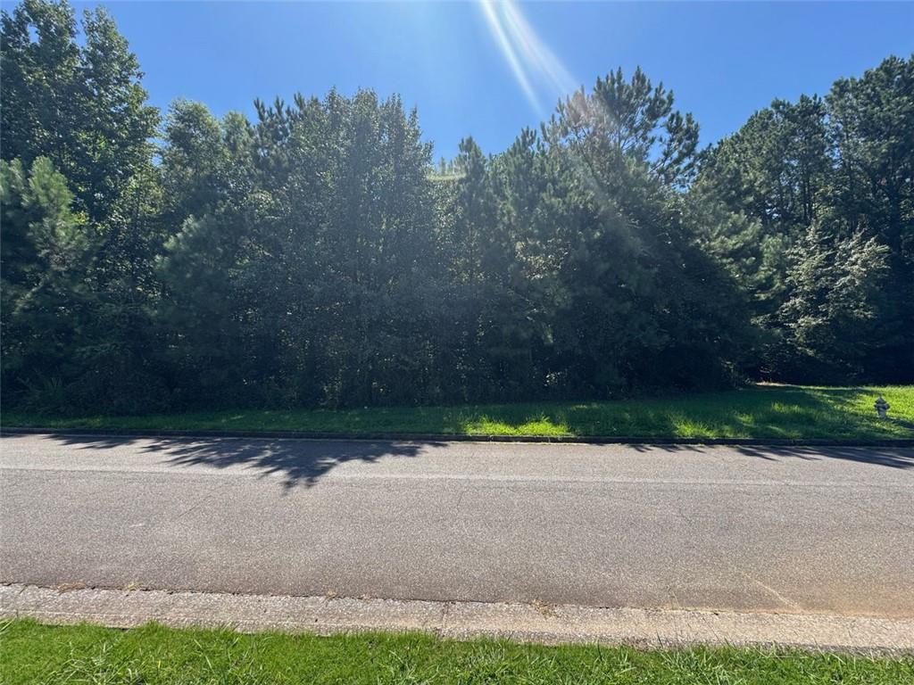 91 Hickory Creek Lane
