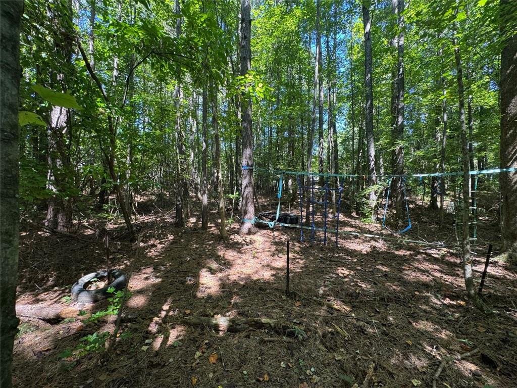 91 Hickory Creek Lane