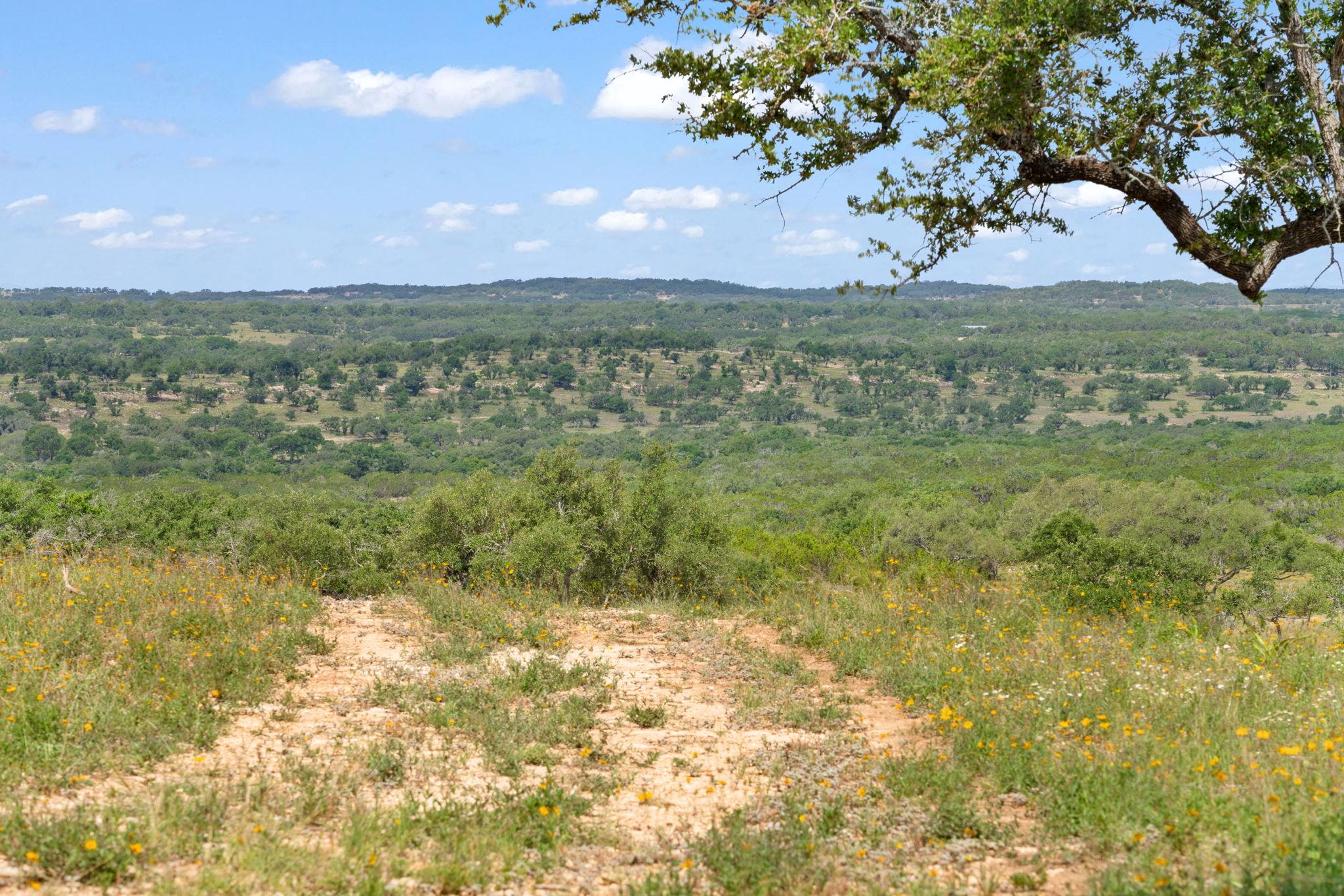 TBD Farm to Market 2325 RD, Wimberley