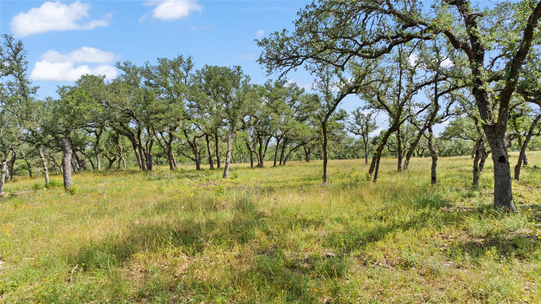 TBD Farm to Market 2325 RD, Wimberley