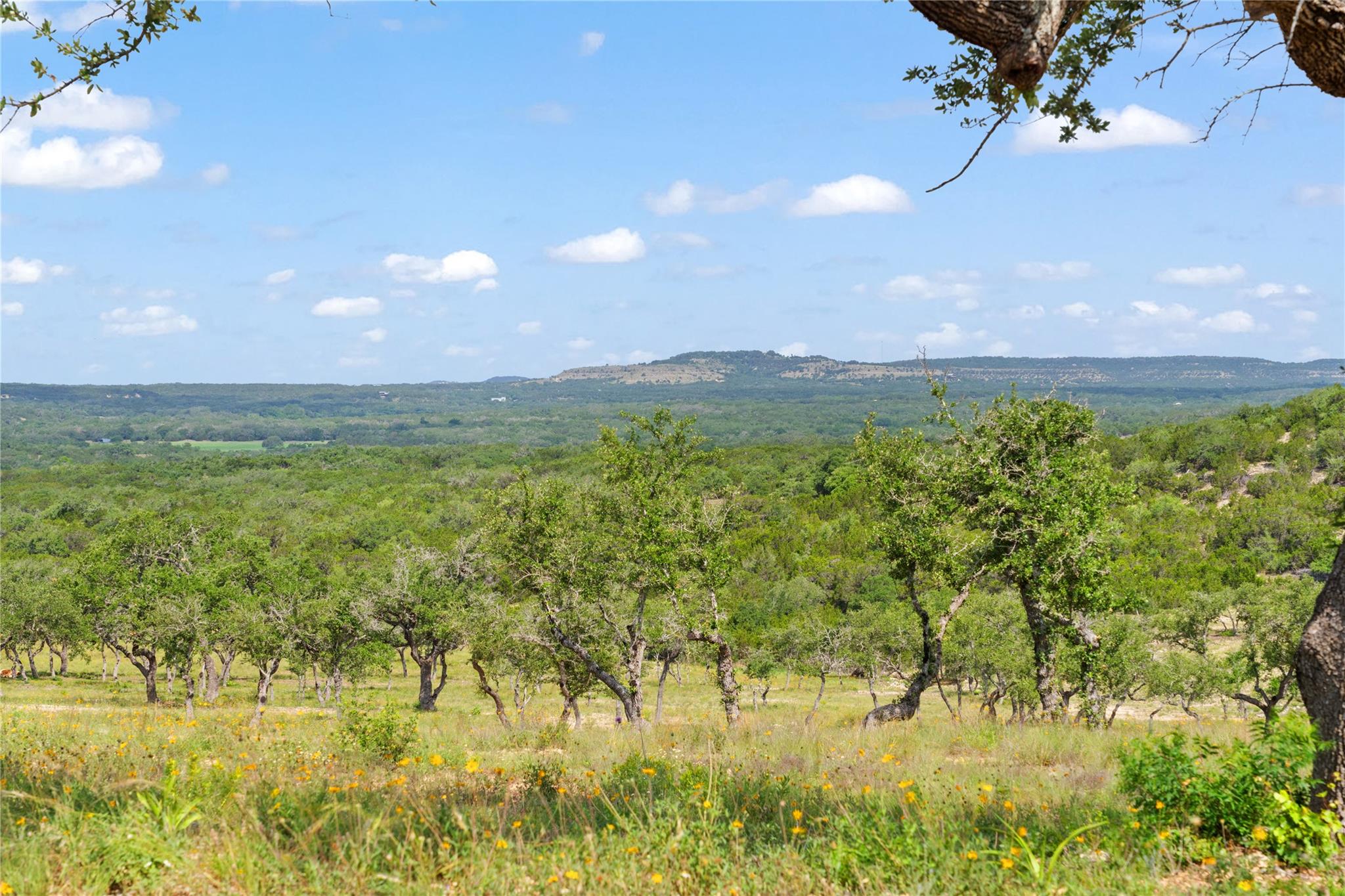 TBD Farm to Market 2325 RD, Wimberley