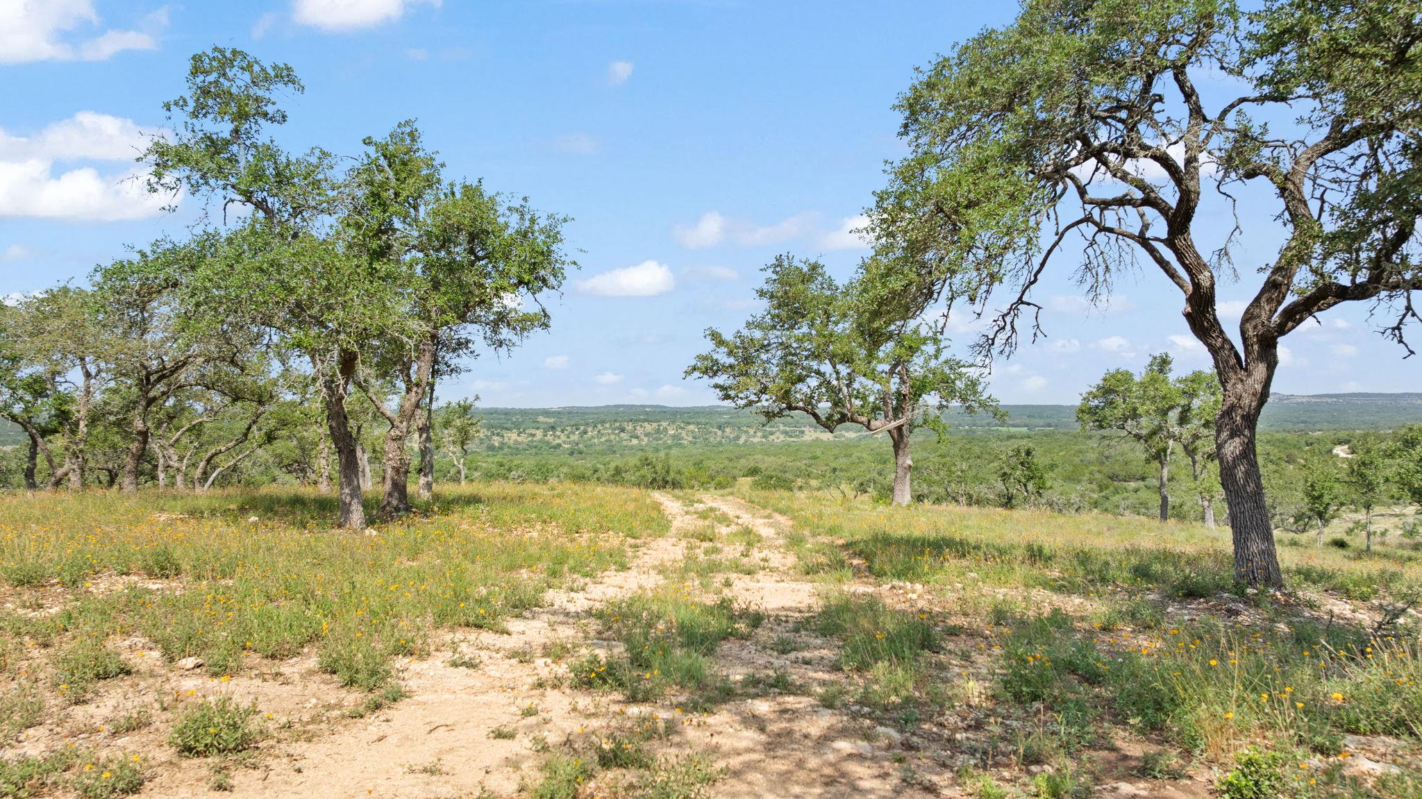 TBD Farm to Market 2325 RD, Wimberley