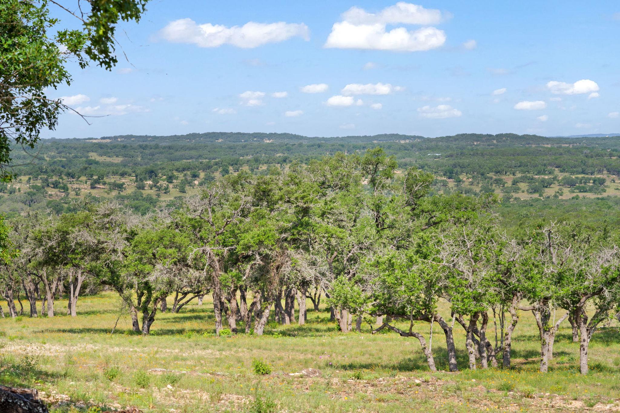 TBD Farm to Market 2325 RD