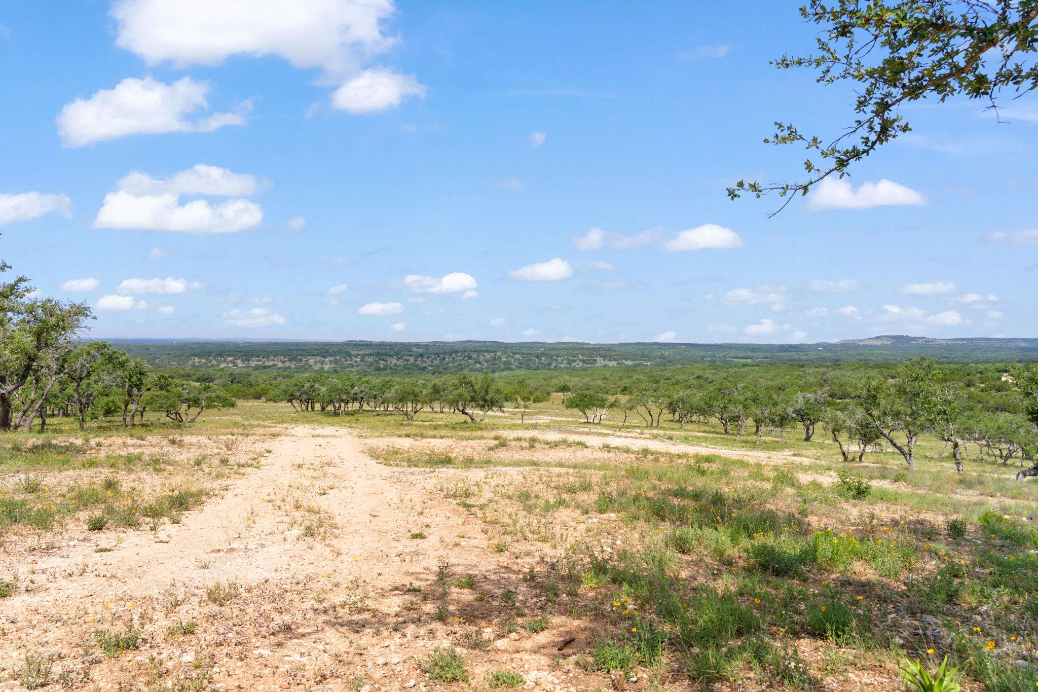 TBD Farm to Market 2325 RD
