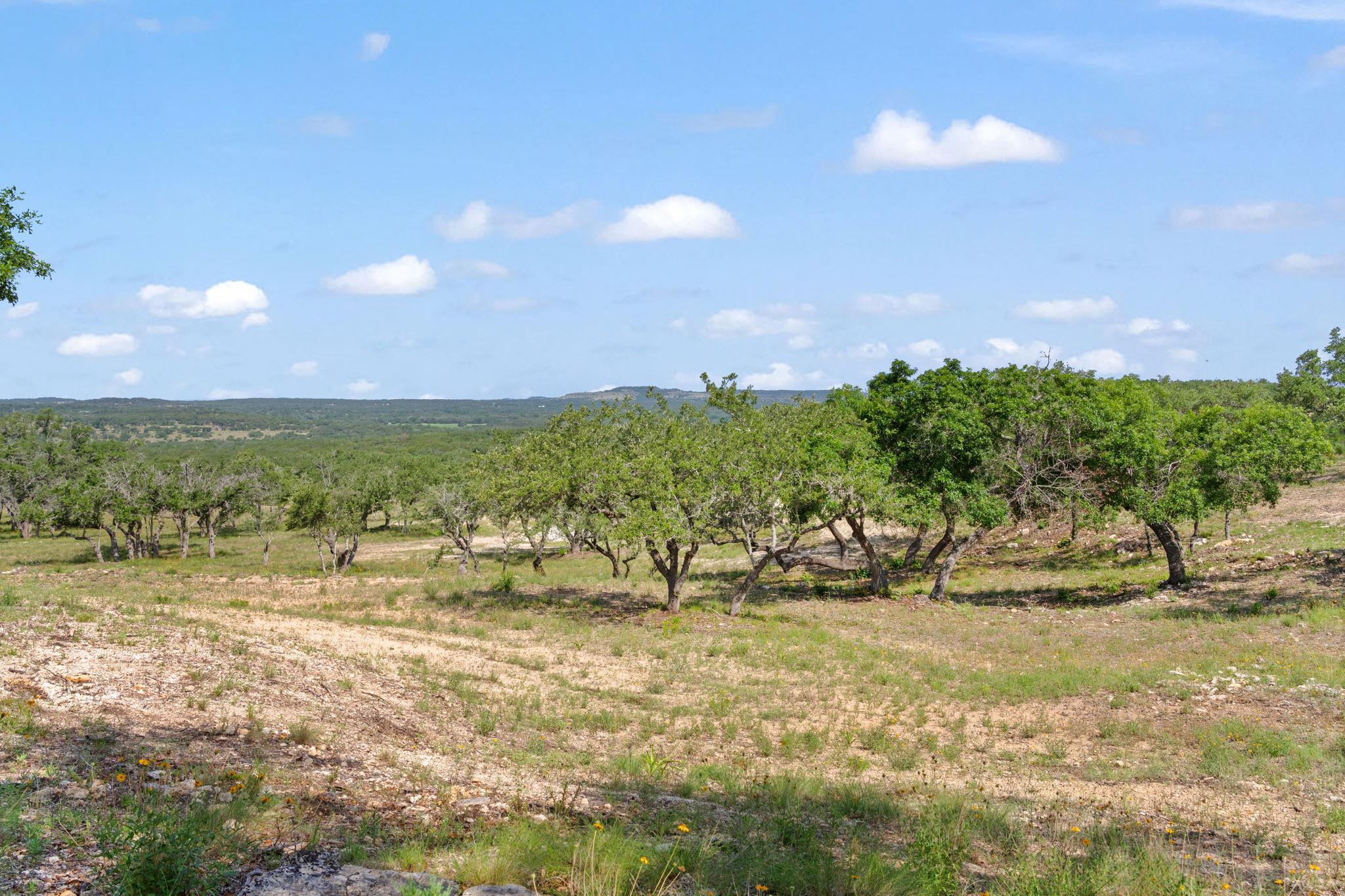 TBD Farm to Market 2325 RD