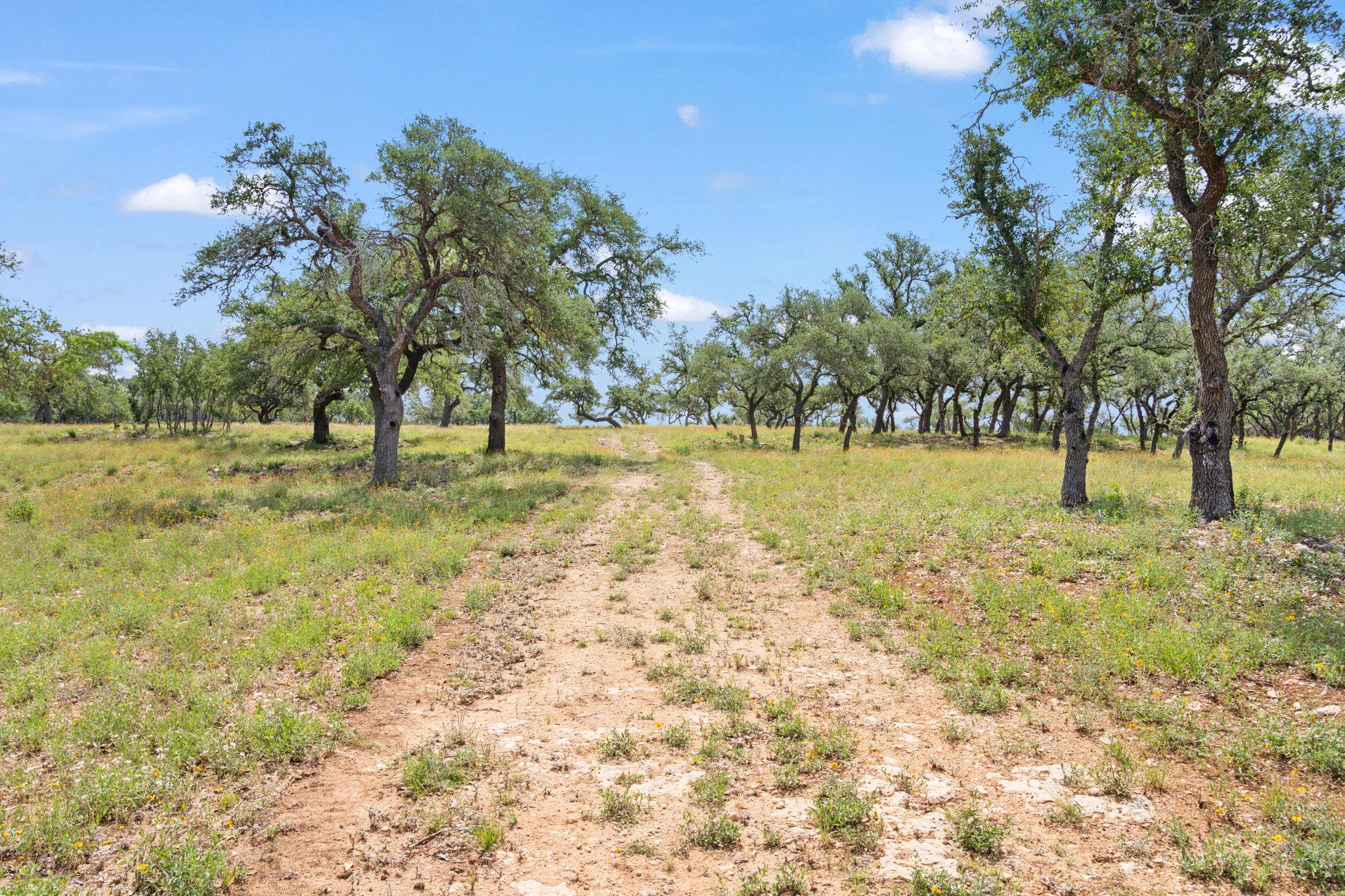 TBD Farm to Market 2325 RD