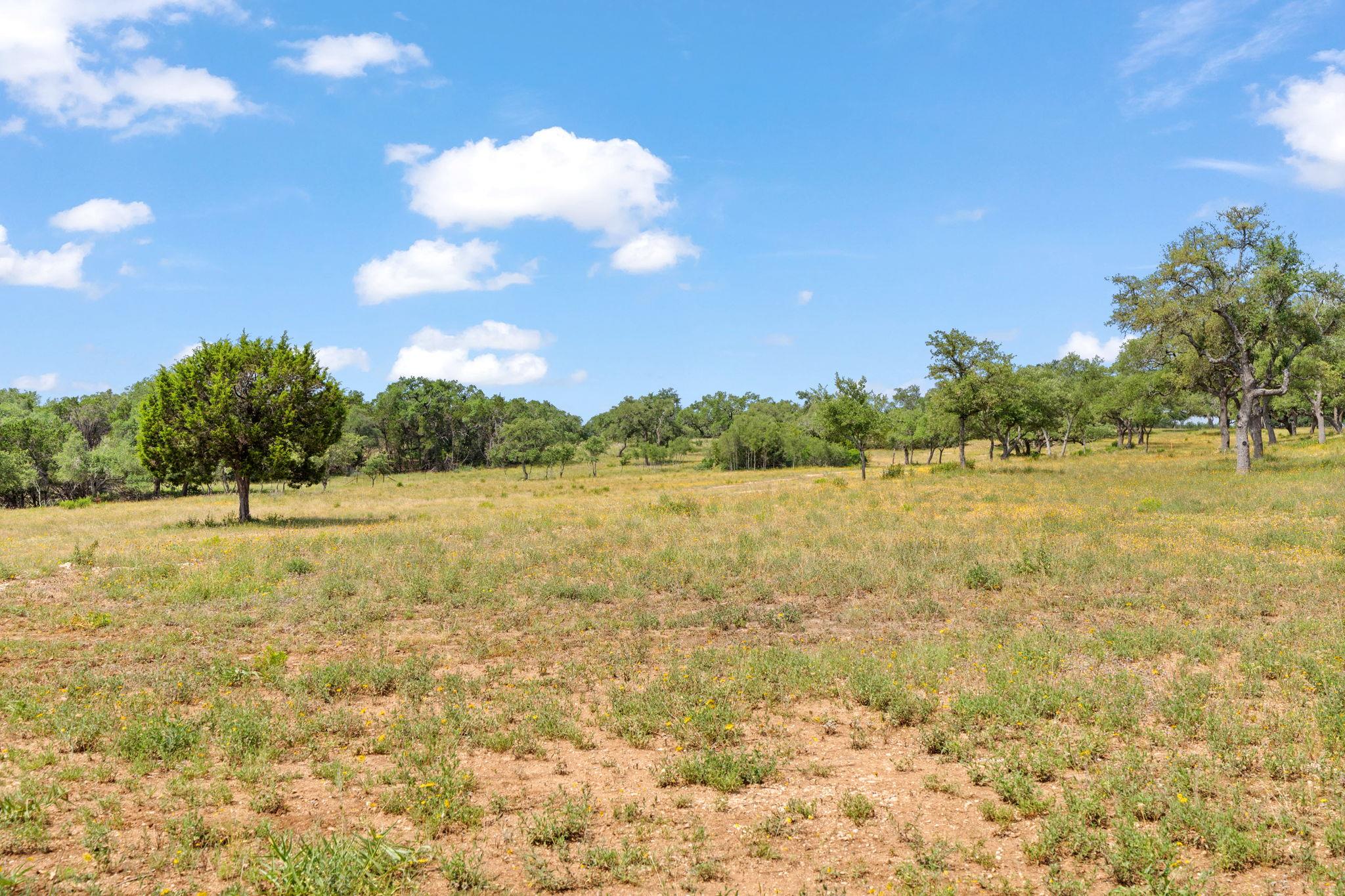 TBD Farm to Market 2325 RD