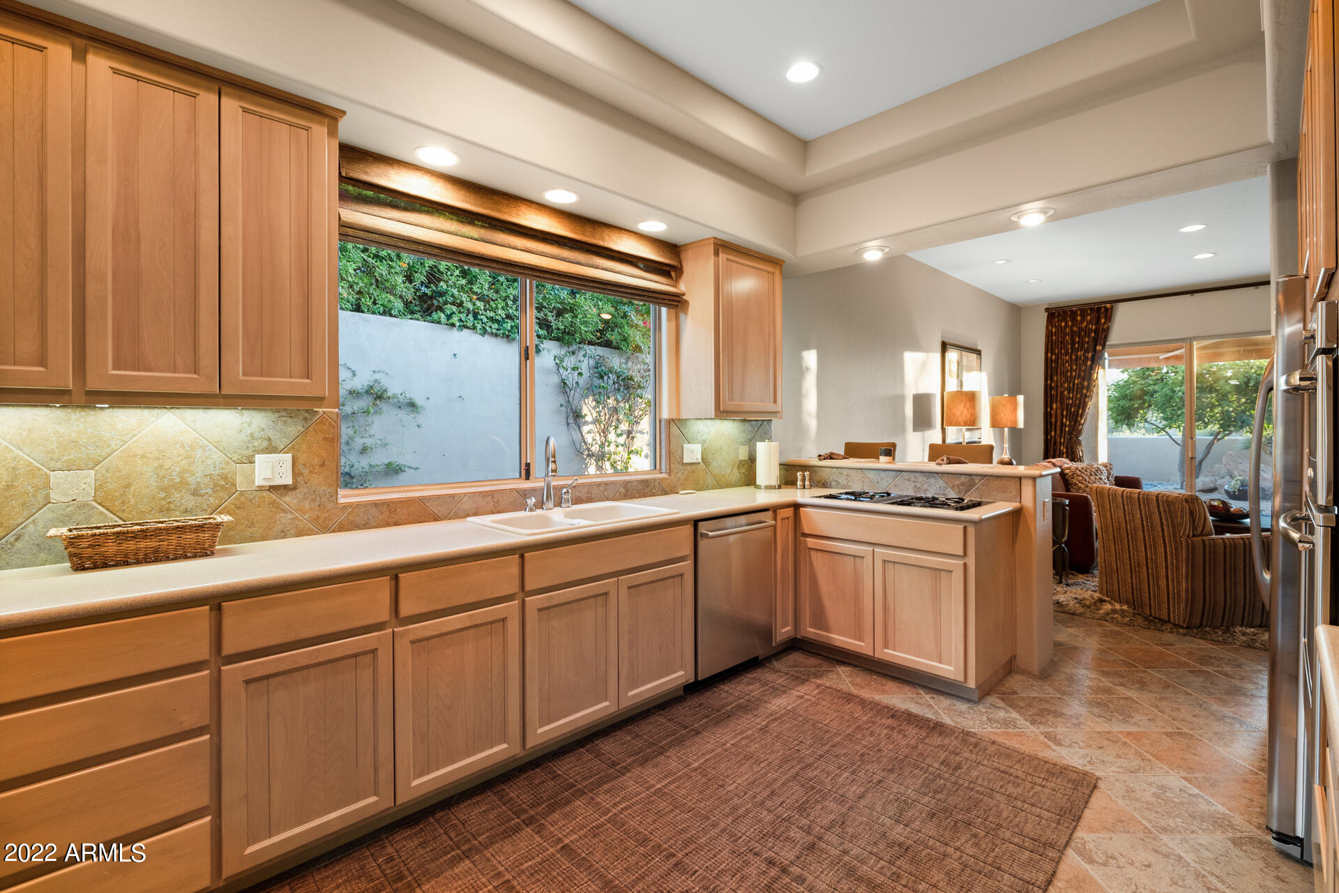 11171 E DESERT VISTA Drive