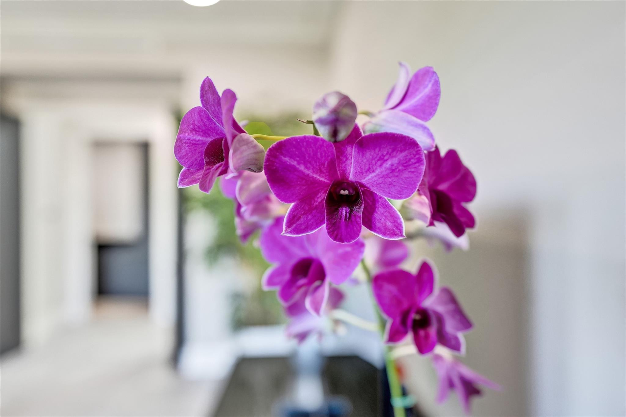 2706 NE 8th Avenue 2706