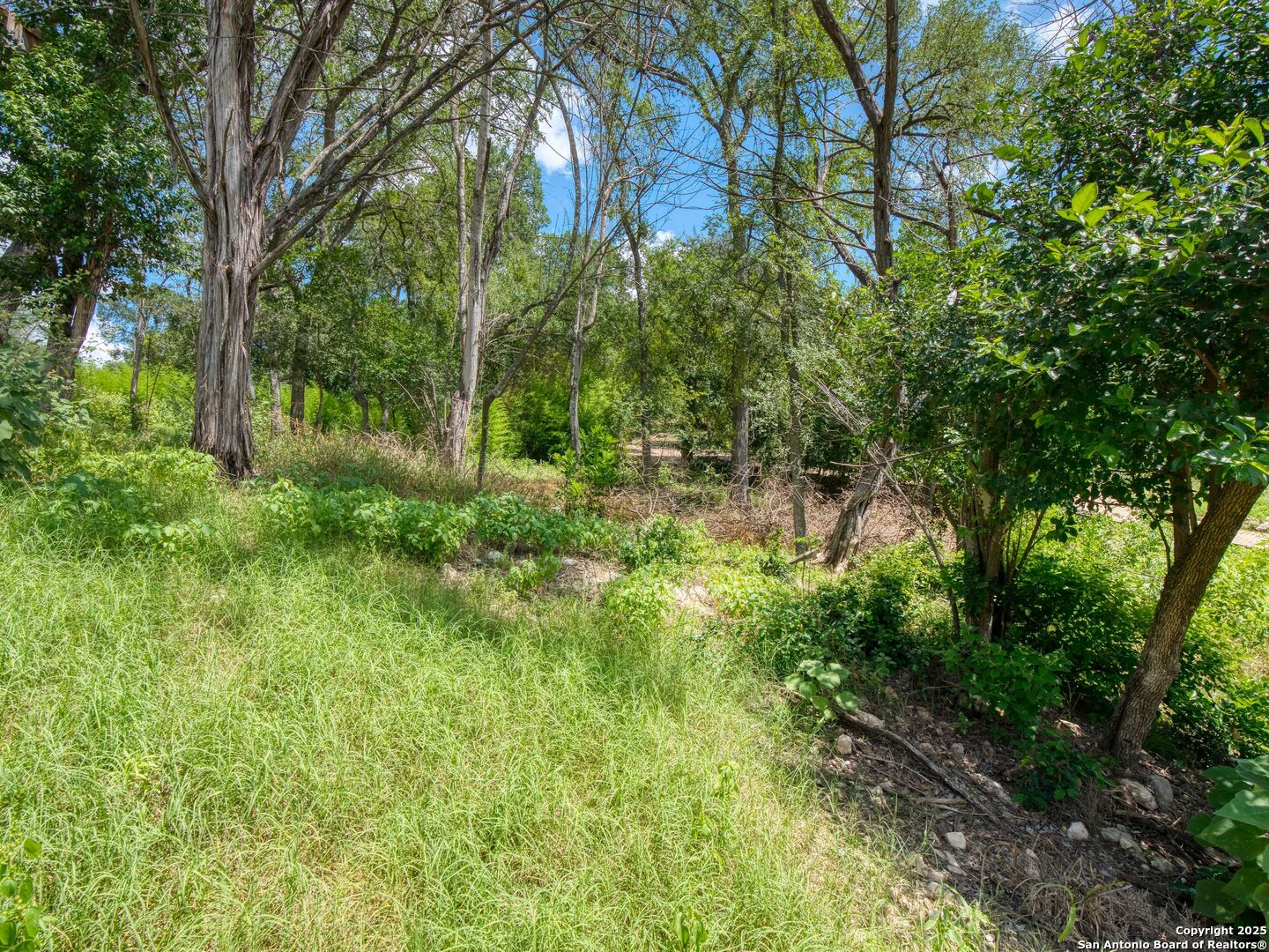 LOT 8 Waco St