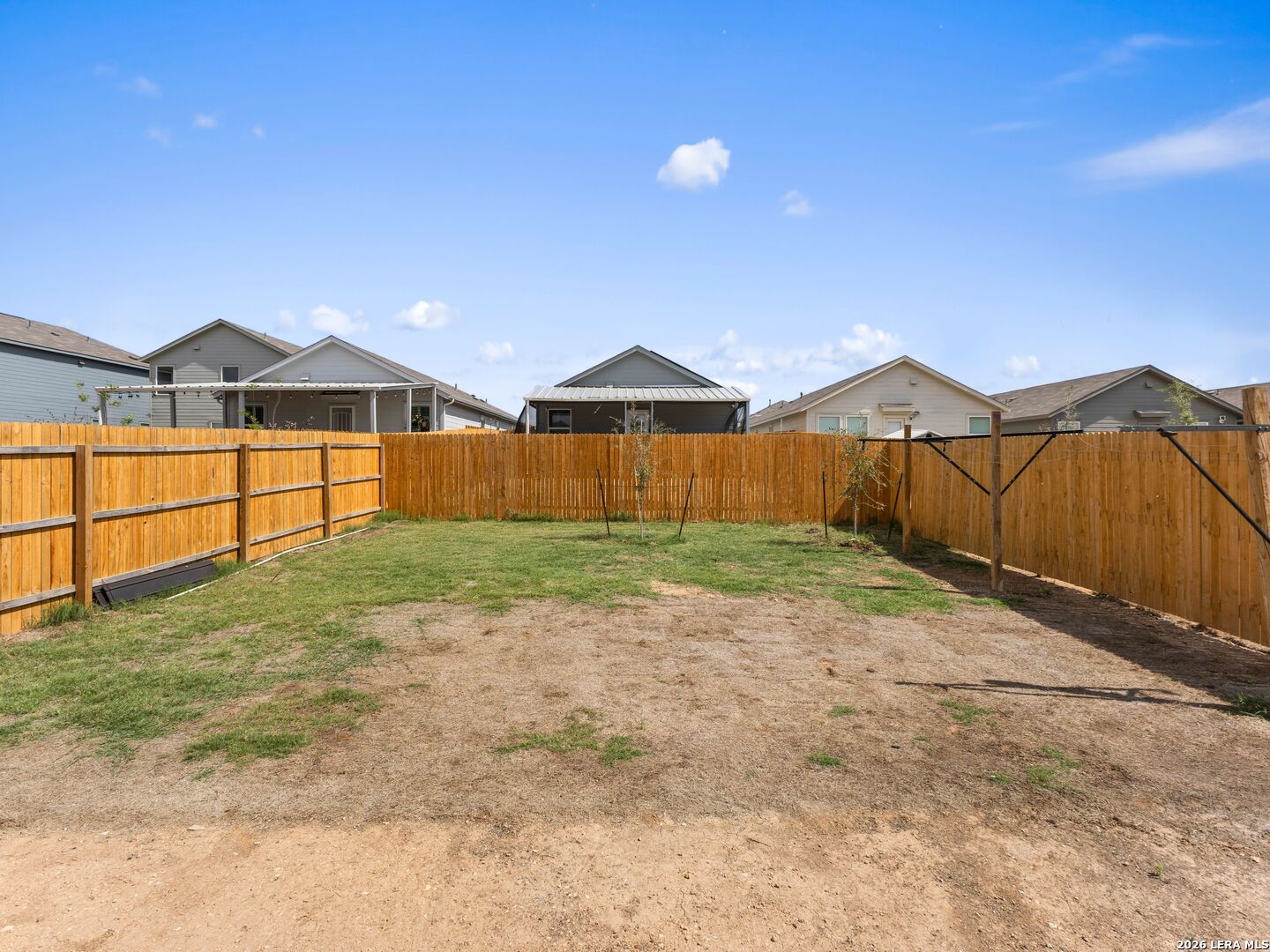 11543 Field Briar