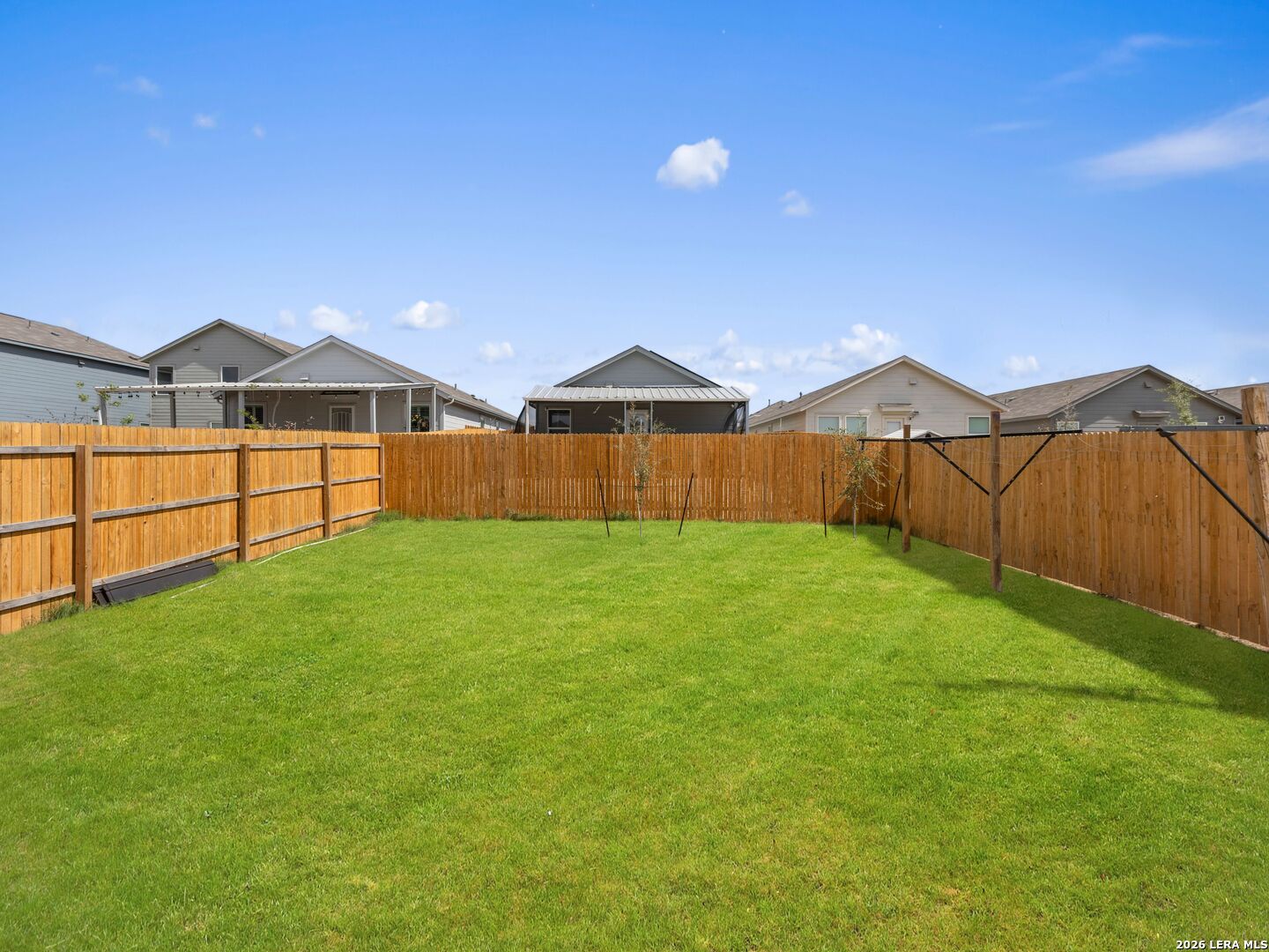 11543 Field Briar