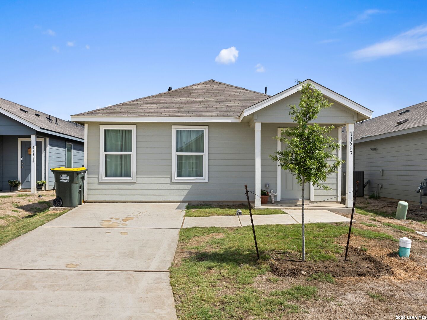 11543 Field Briar