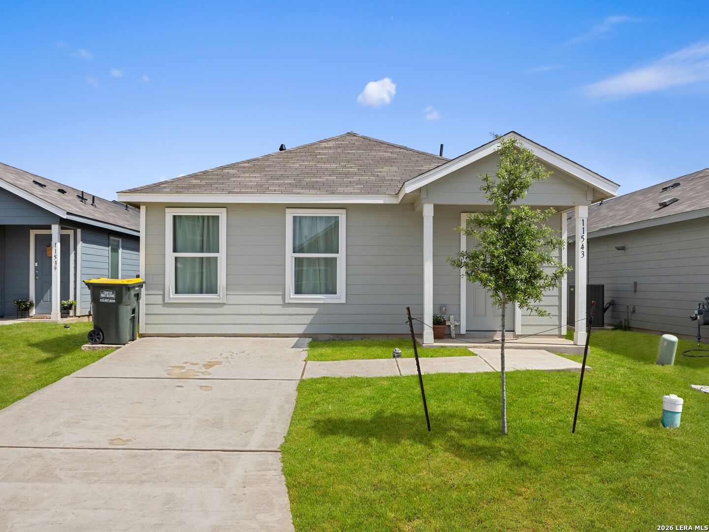 11543 Field Briar