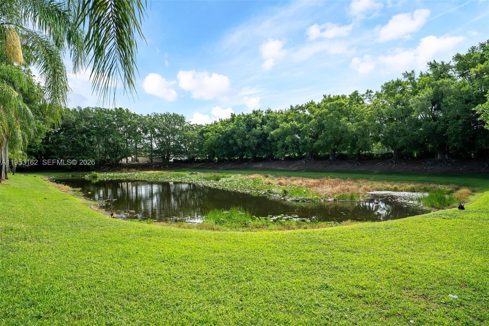 1528 Veracruz Ln # 3 Unit: 4-3
