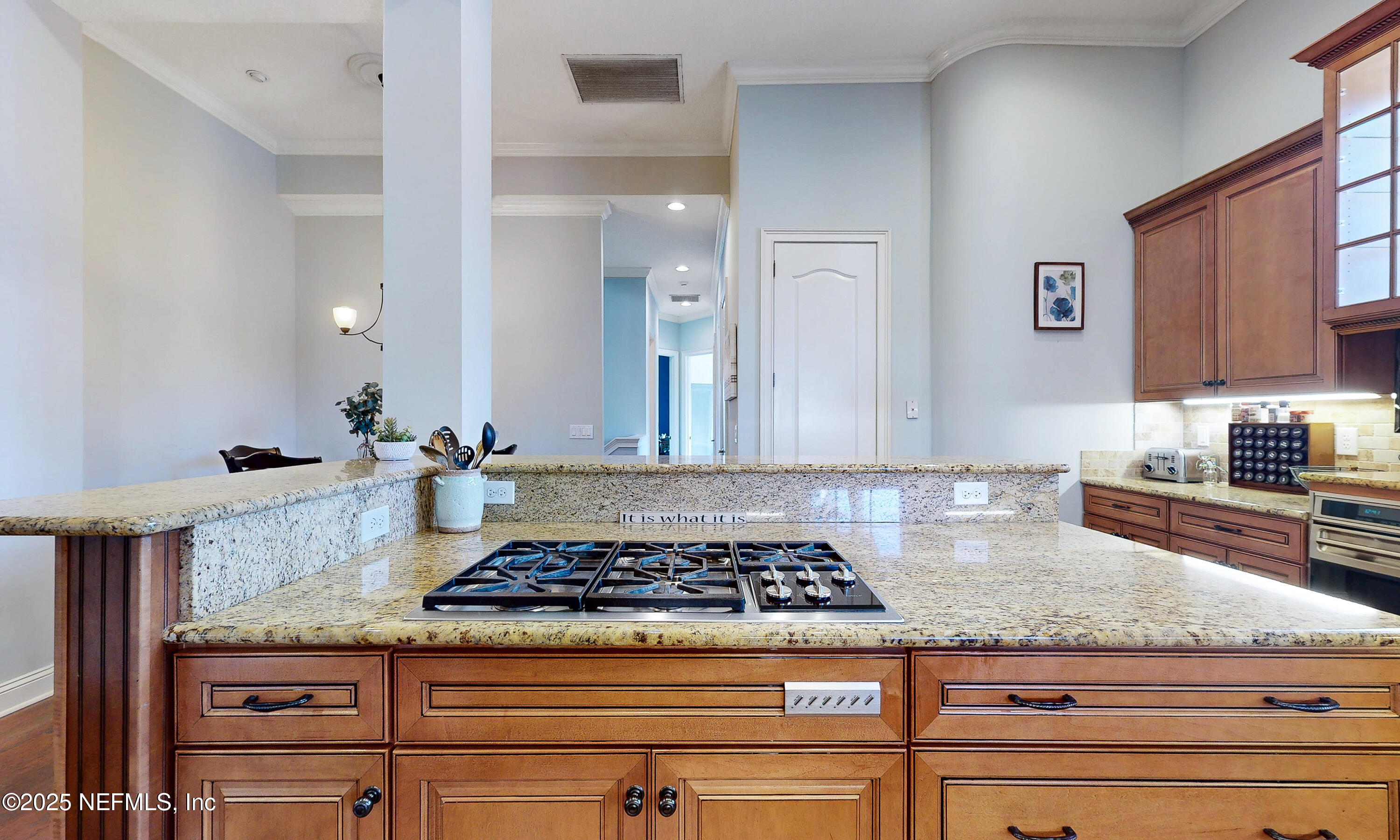 125 CUELLO Court, 202