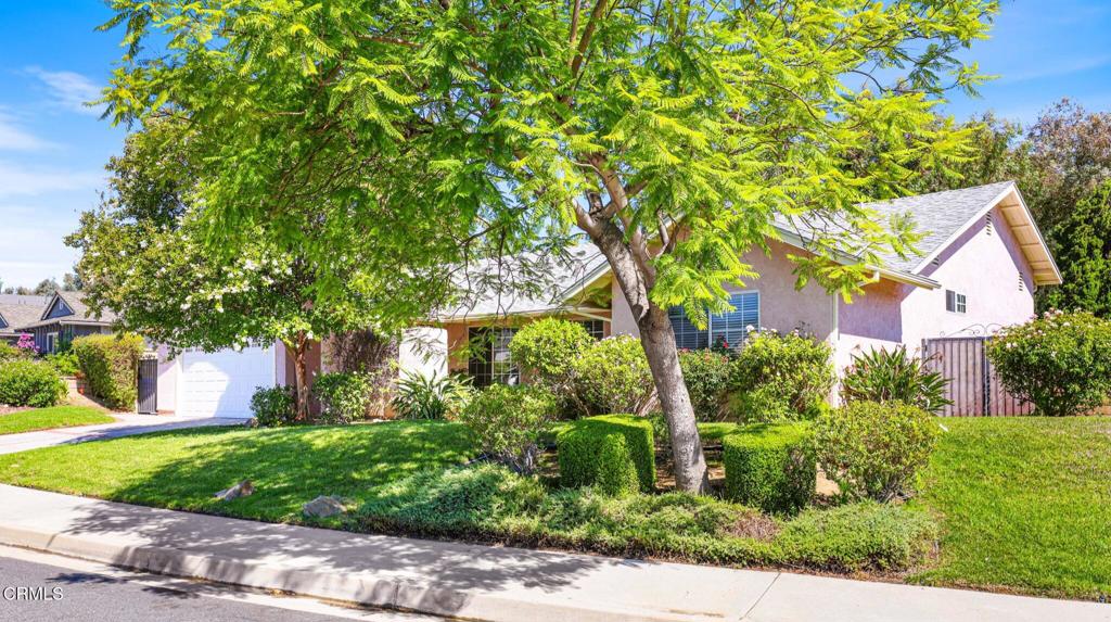 23109 Vista Delgado Drive