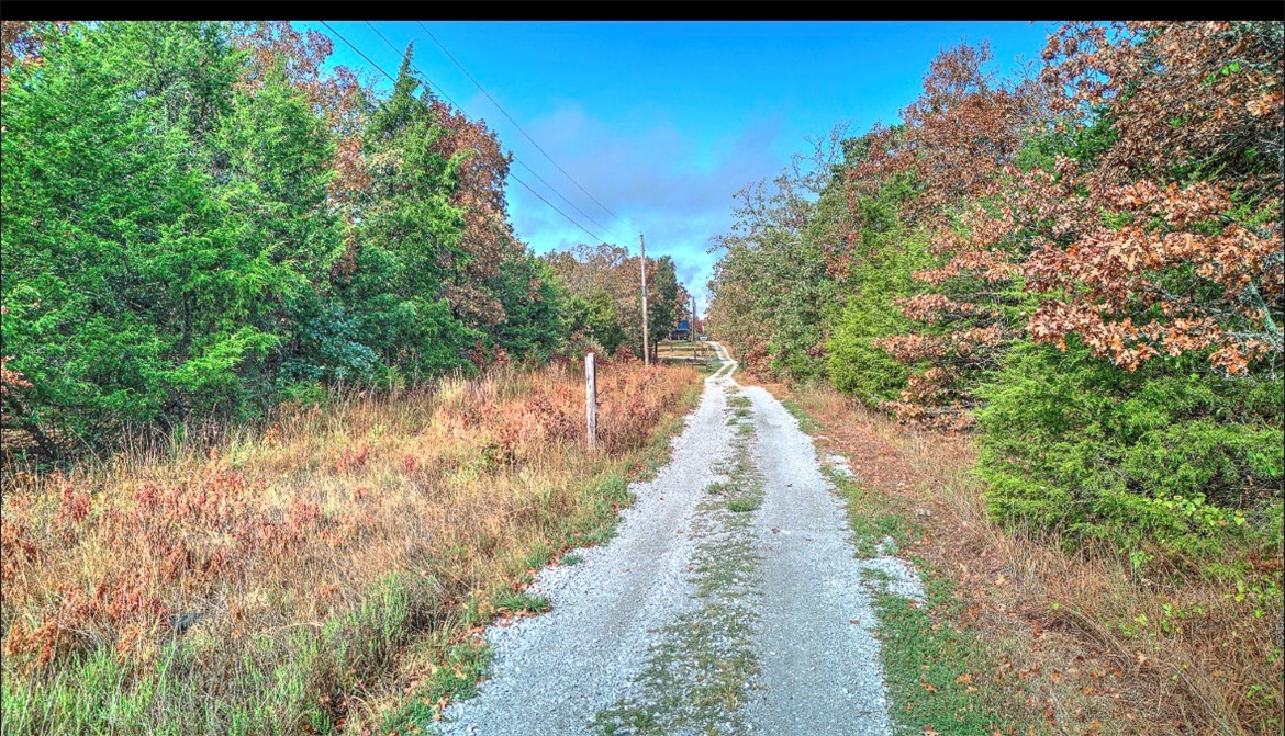 Gravel track through a wooded property, with autumn trees and utility lines overhead.