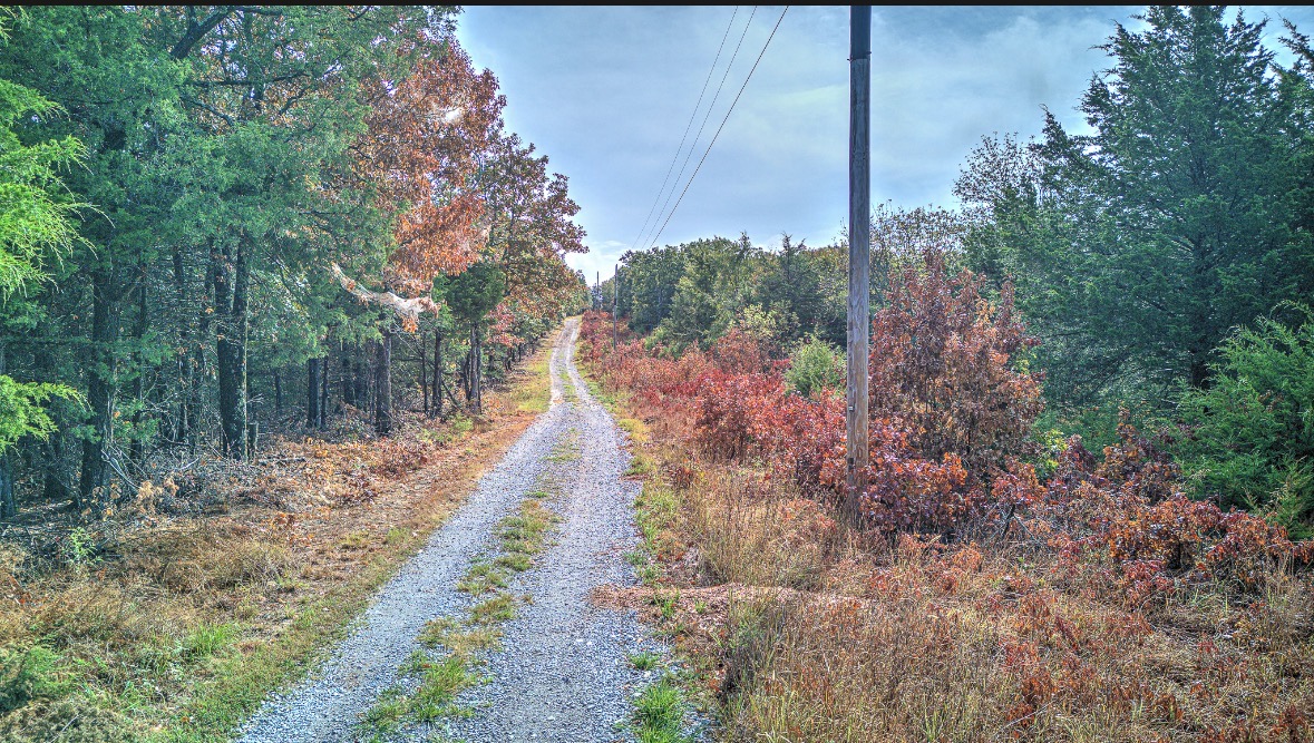 Gravel road through autumn woods, bordered by colorful brush and utility poles.