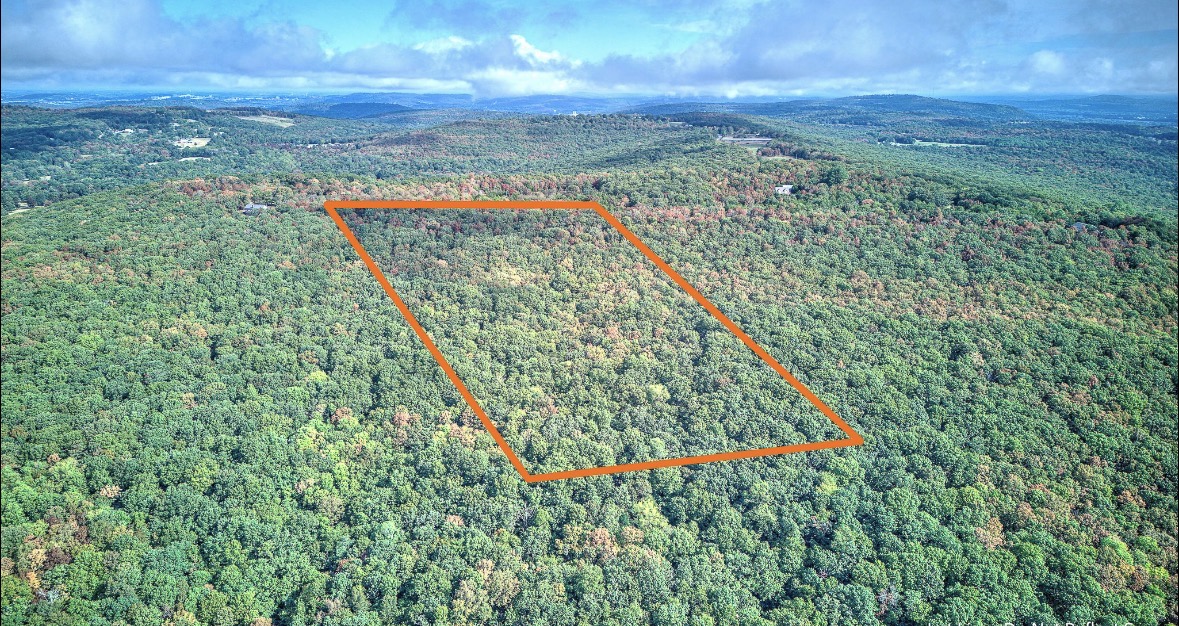Aerial view of a forested property outlined in orange, with rolling hills in the distance.