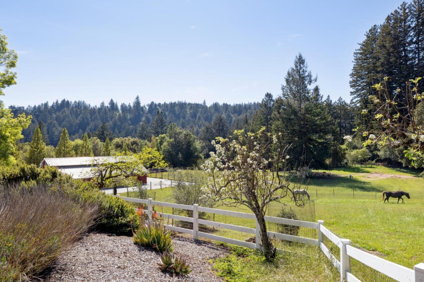 23020 Old Santa Cruz Highway