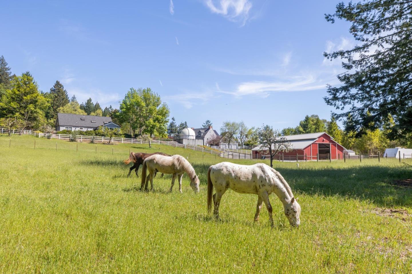 23020 Old Santa Cruz Highway