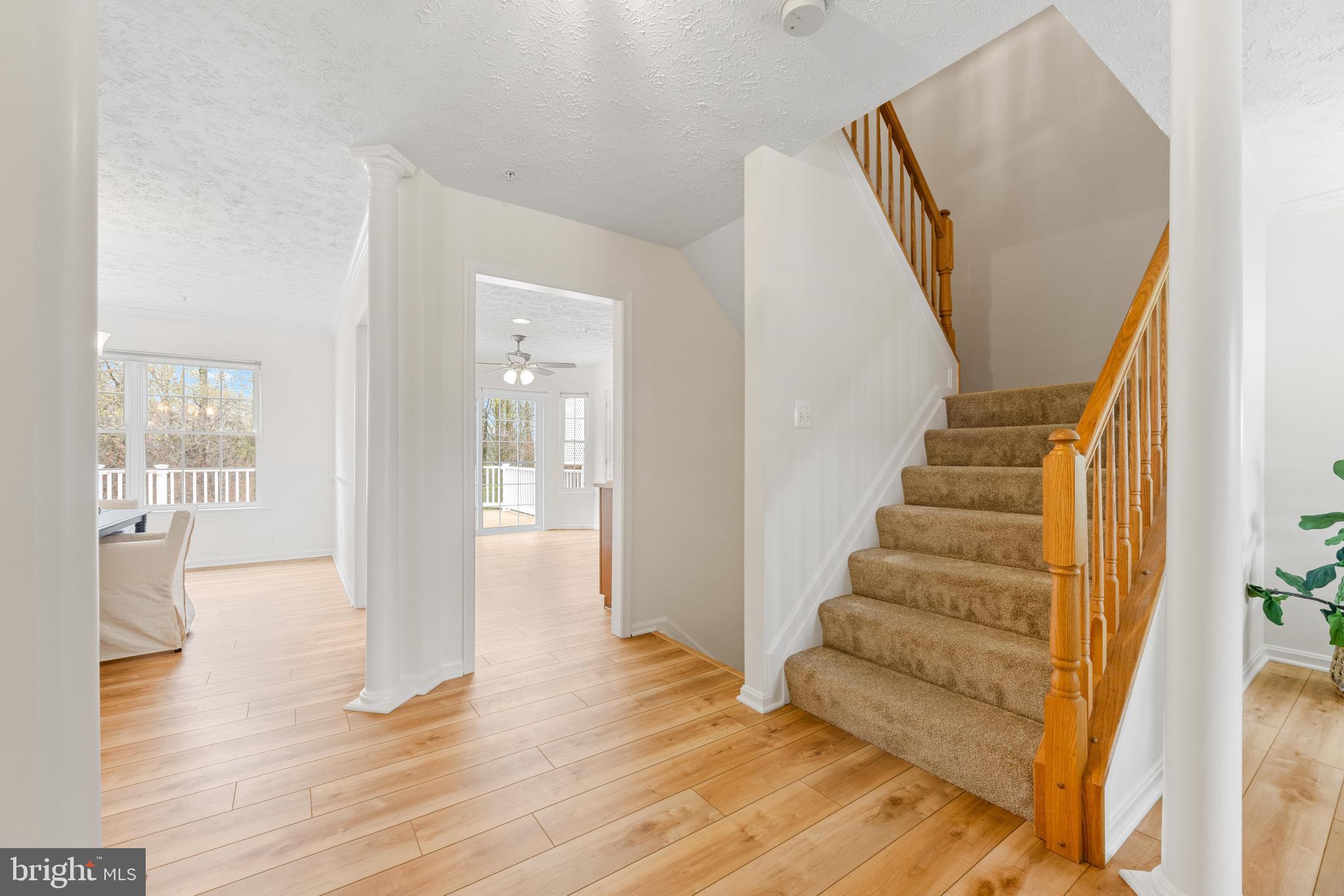 225 Rachel Cir