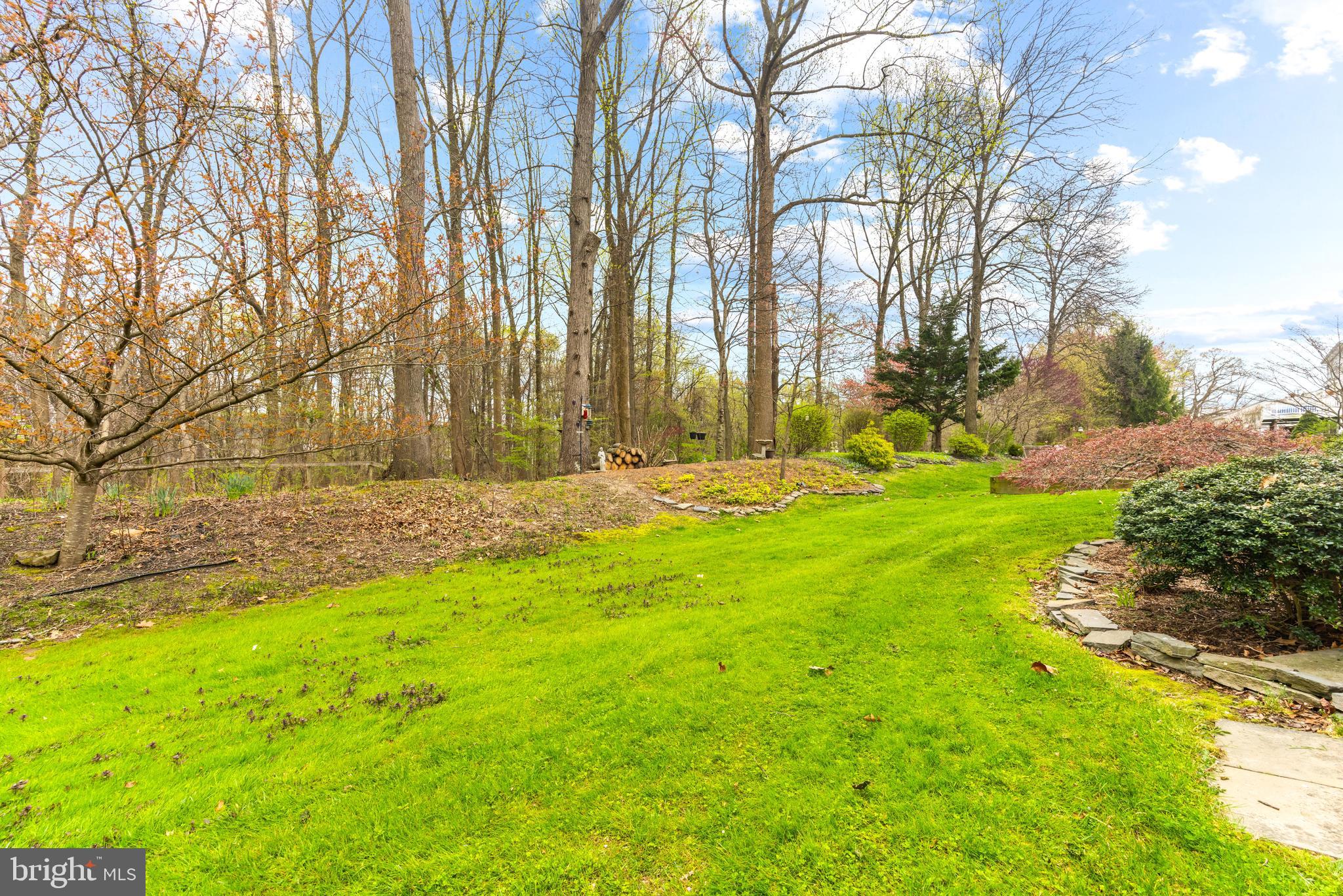 225 Rachel Cir