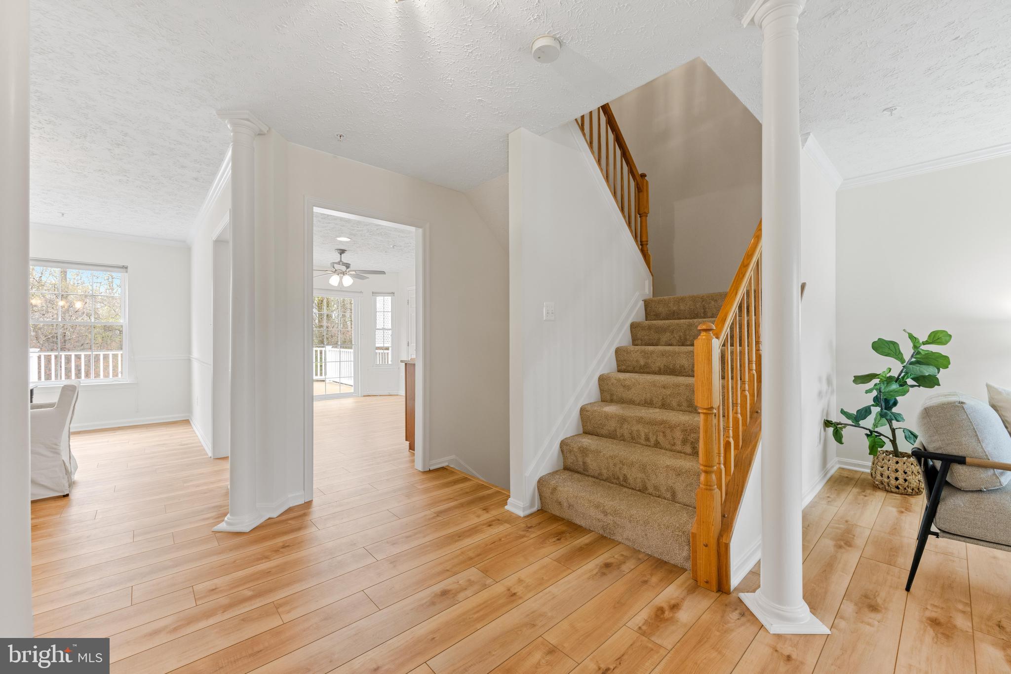 225 Rachel Cir
