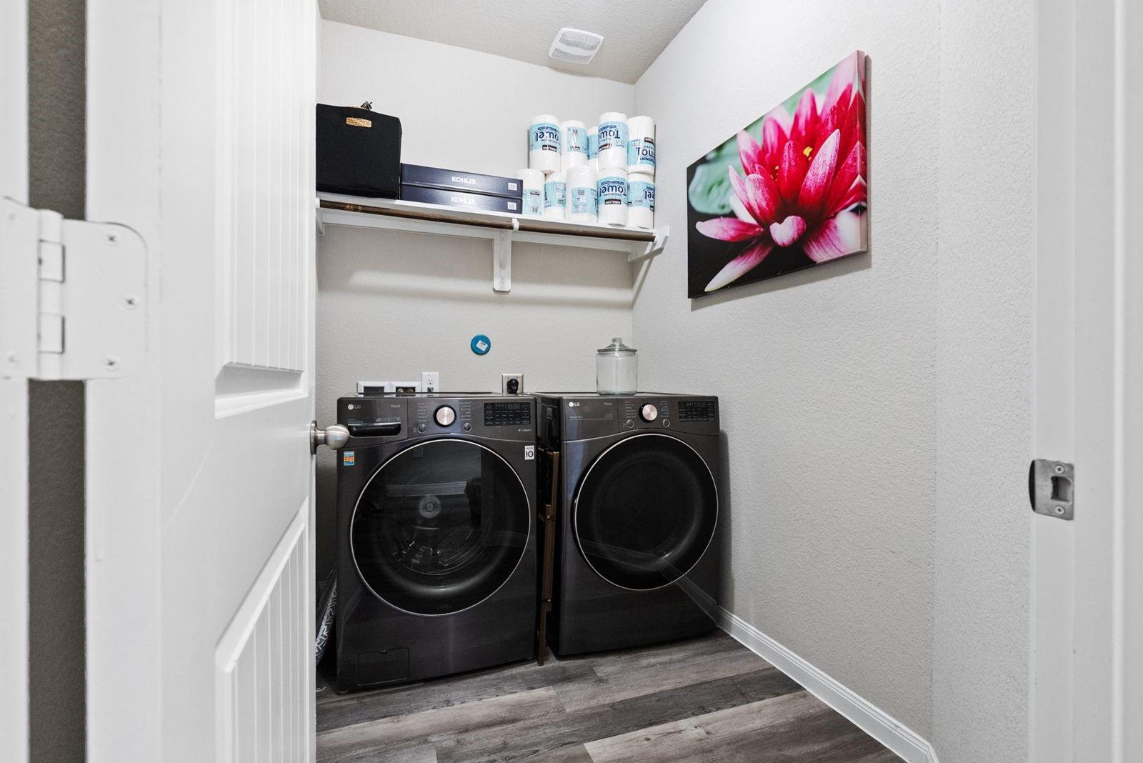 24926 Bastiani Canvas Lane