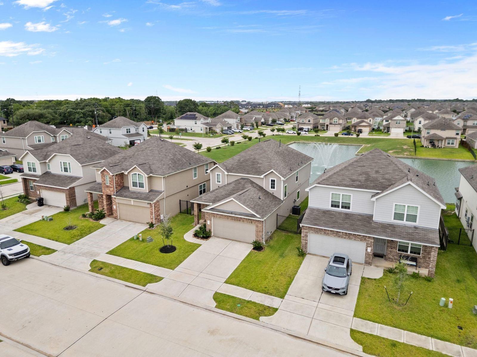 24926 Bastiani Canvas Lane