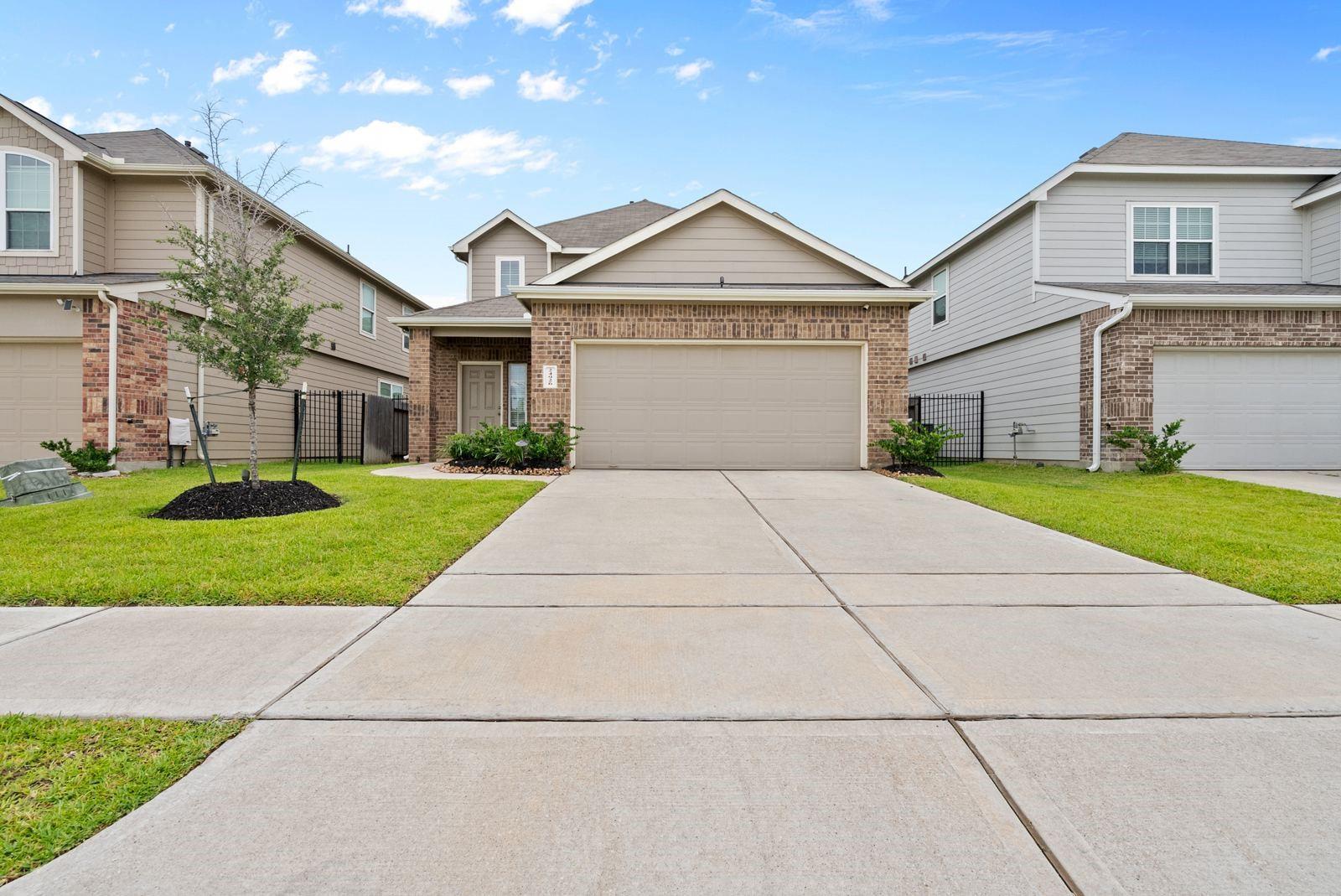 24926 Bastiani Canvas Lane