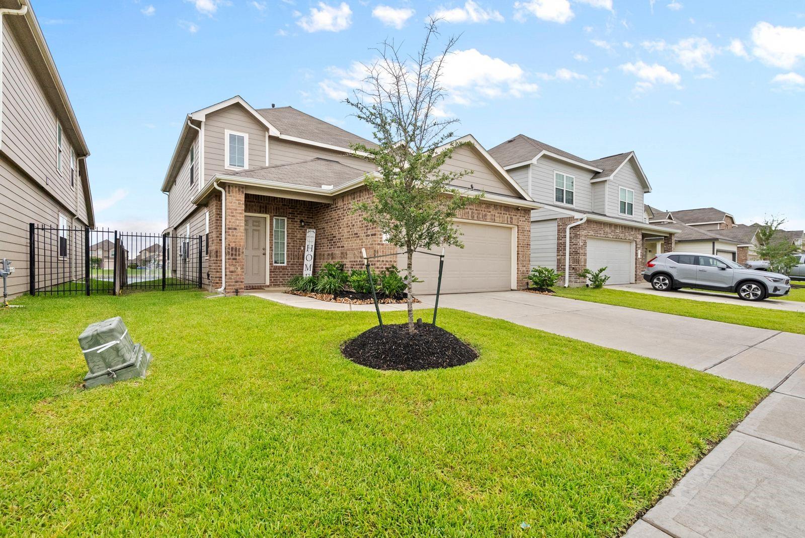 24926 Bastiani Canvas Lane