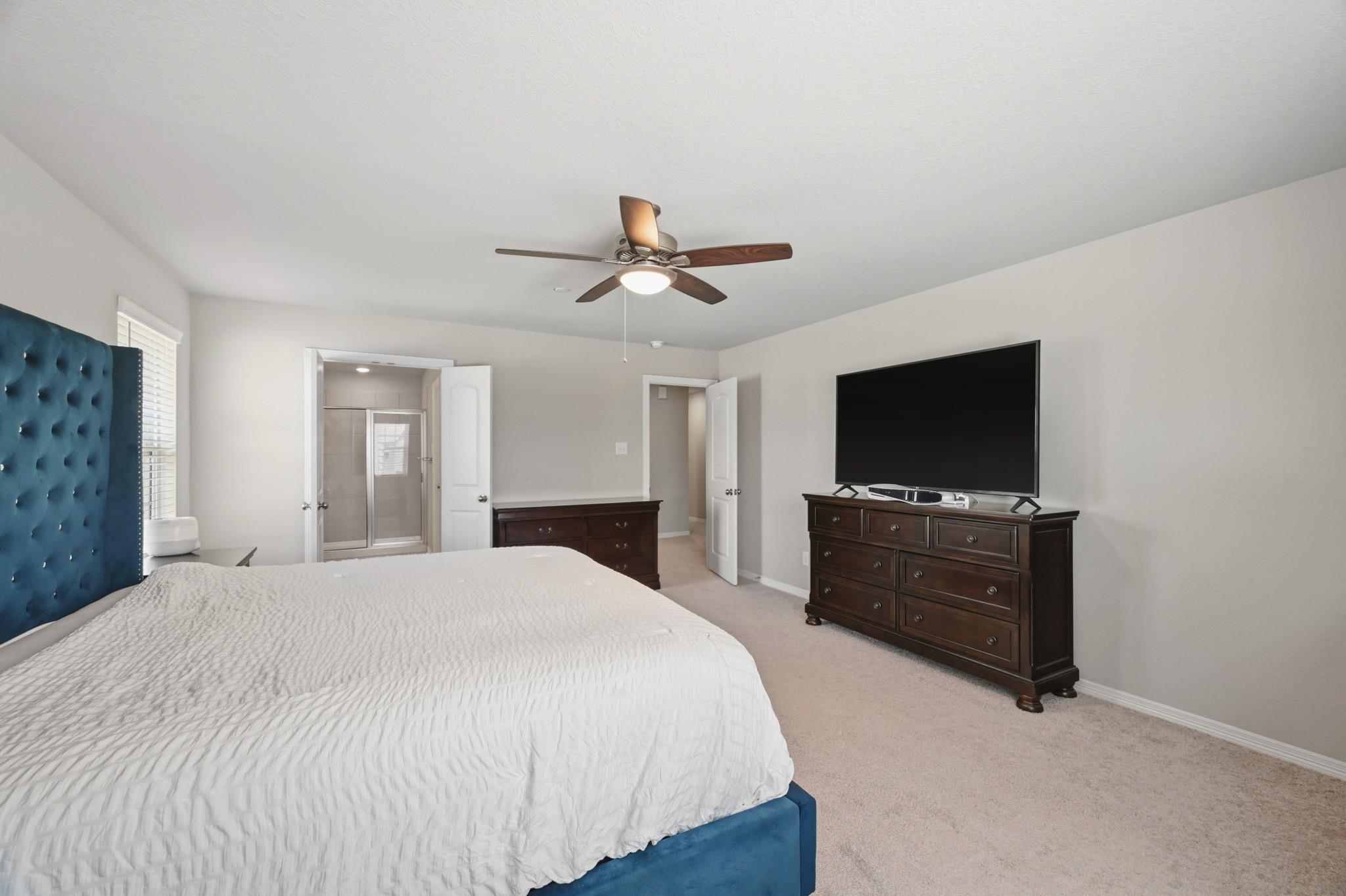 8050 Scanlan Trace