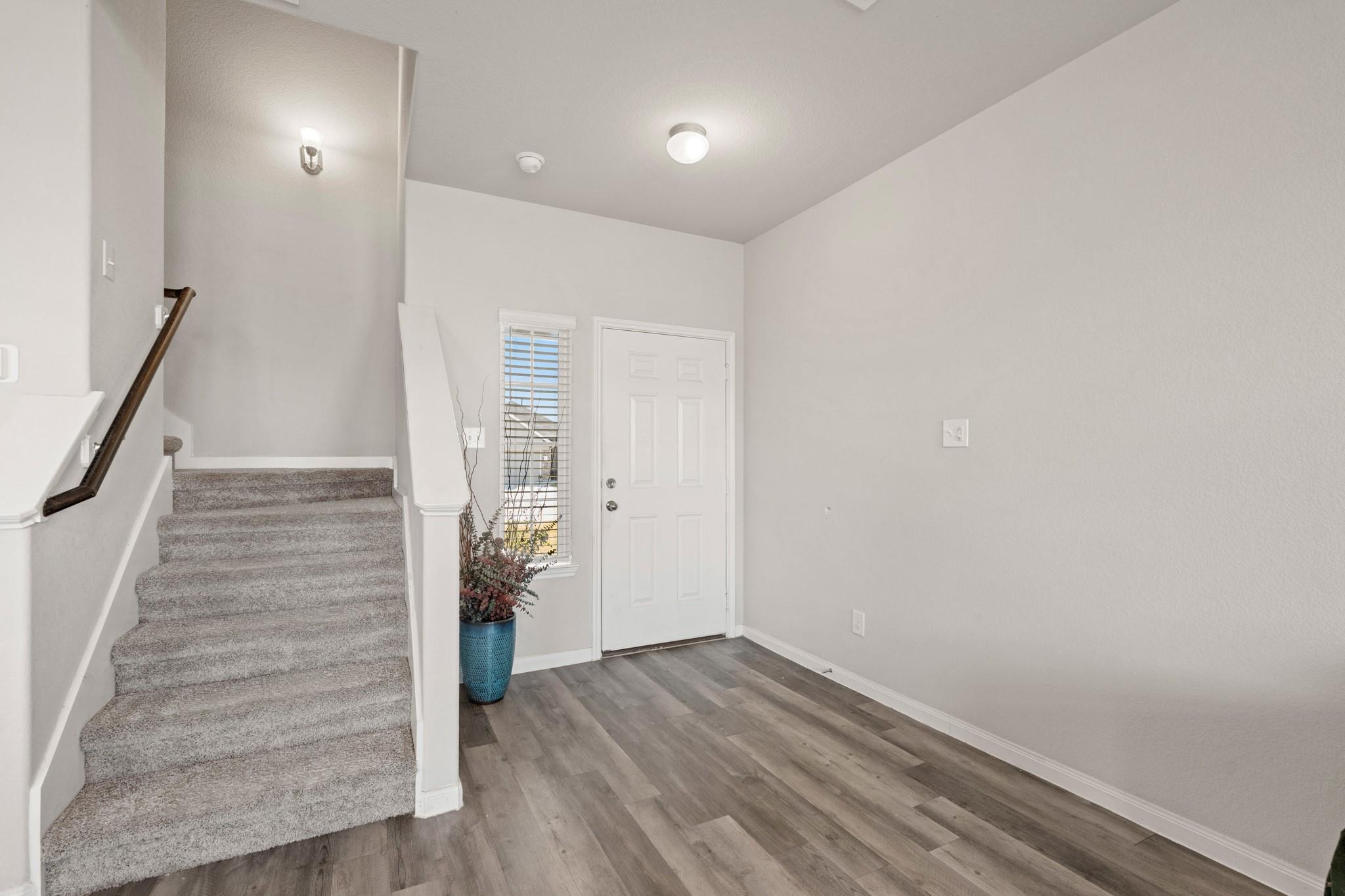 24806 Bastiani Canvas Lane