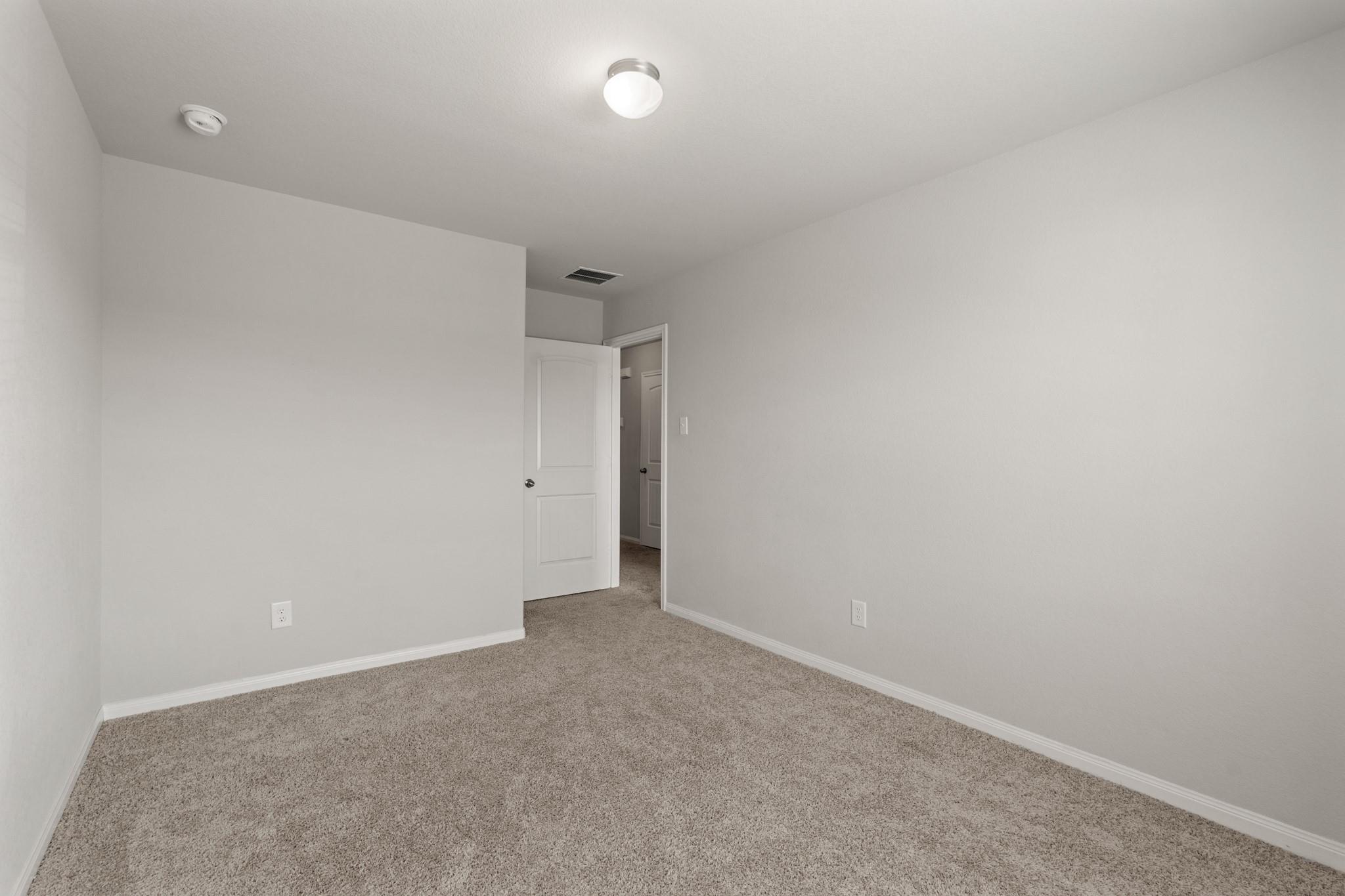 24806 Bastiani Canvas Lane
