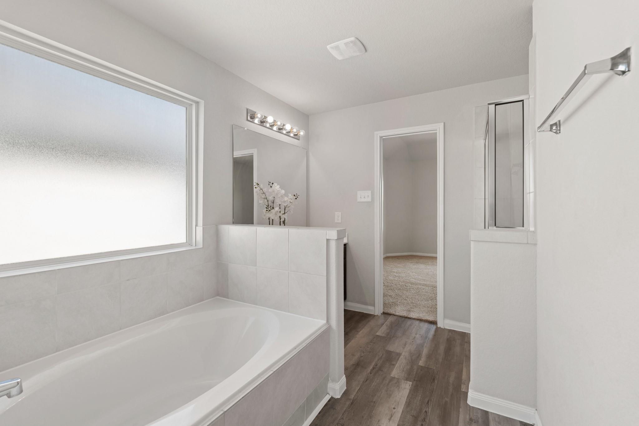24806 Bastiani Canvas Lane