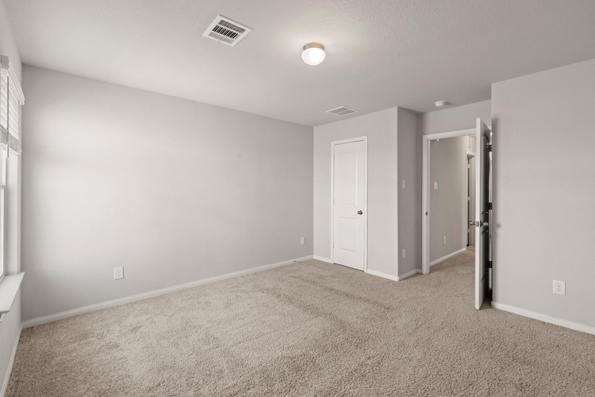24806 Bastiani Canvas Lane