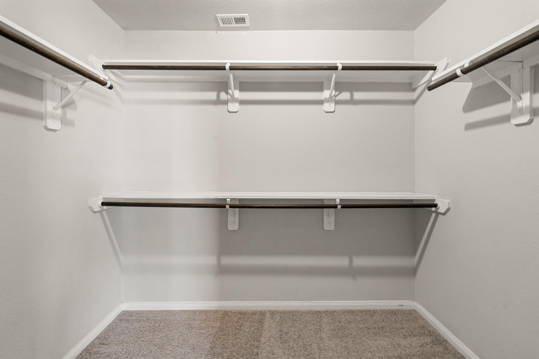 24806 Bastiani Canvas Lane