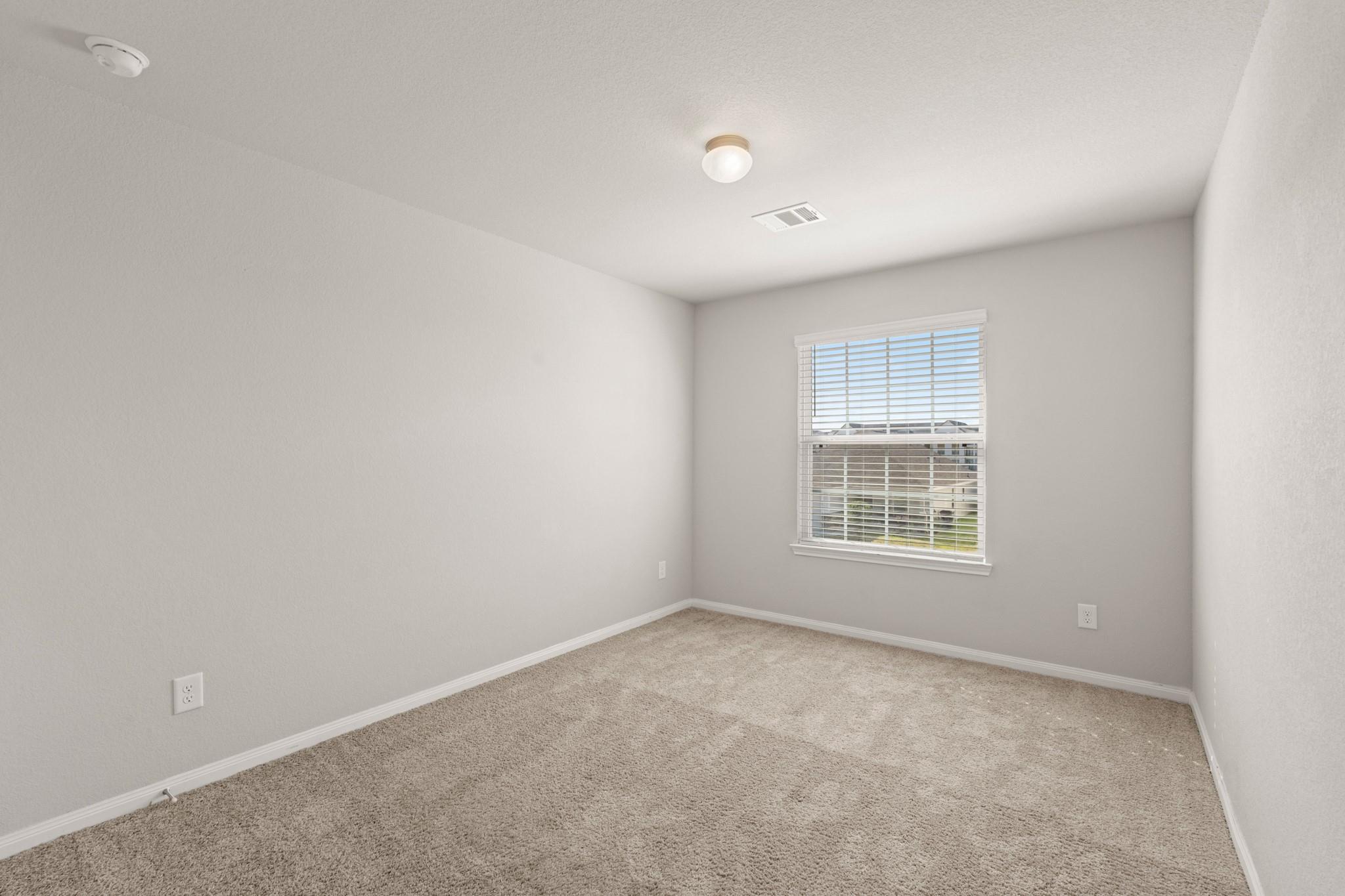 24806 Bastiani Canvas Lane